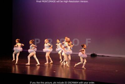 DSCF6664.jpg