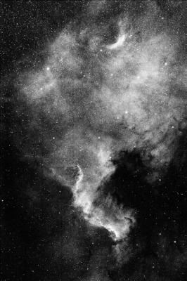 ngc7000_-0XXL-mono-small.jpg