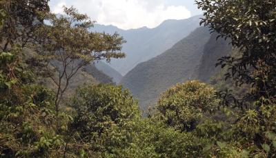 At the base of Manchu Picchu