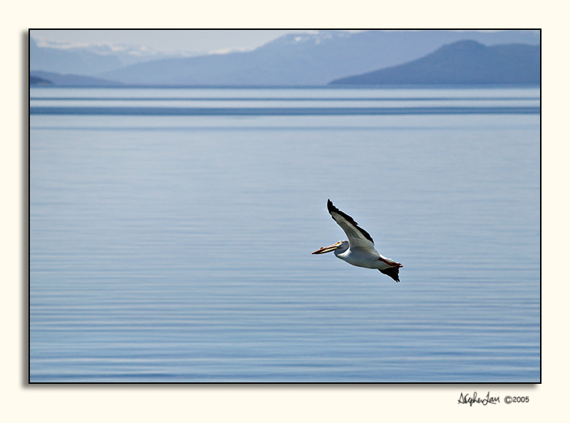 Yellowstone Lake (587S9657.jpg)