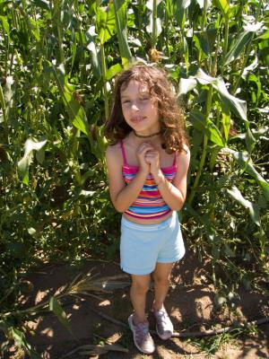 Sara in the corn fields