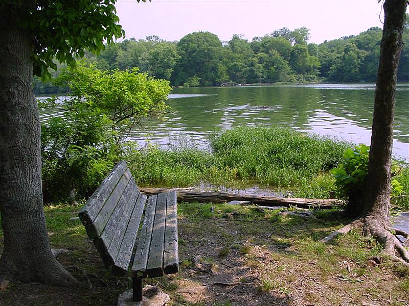 Bench on rustic trail