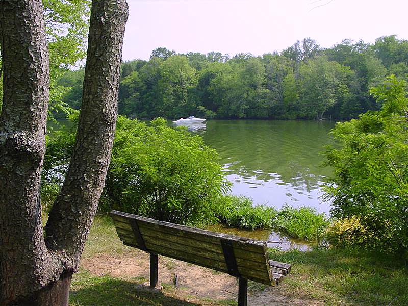 another bench