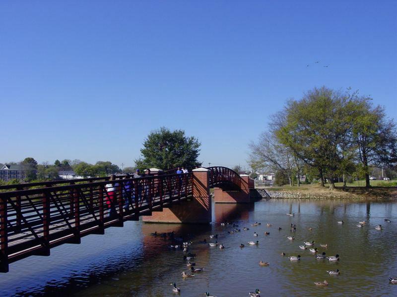 Friendship Bridge in Drakes Creek Park