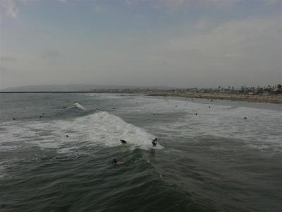 surf dudes