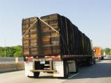 Semi hauling hundreds of beehives. Many had escaped and were flying behind the truck.