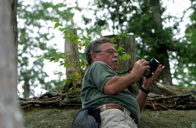 forest photog
