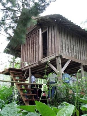 Pondok-2