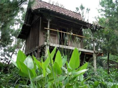 Pondok-3