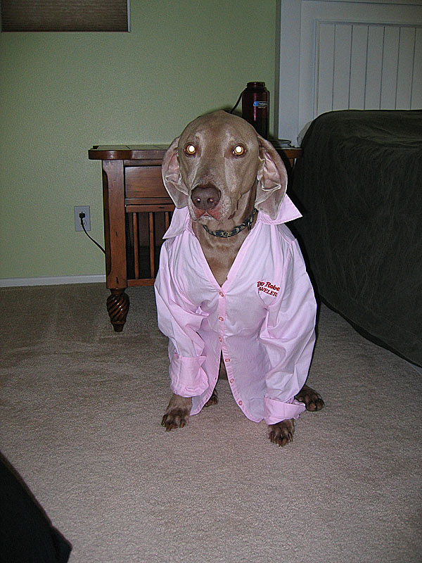 samson_0001_86.jpg