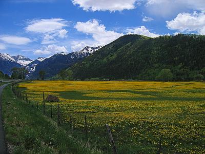 Telluride