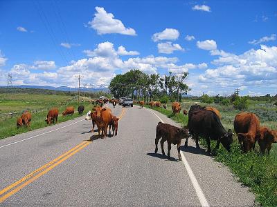 Durango