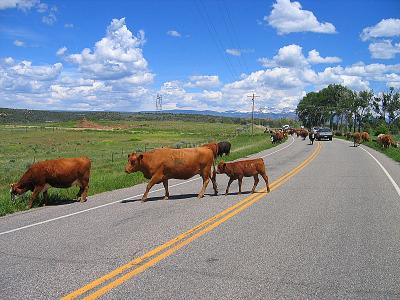 Durango