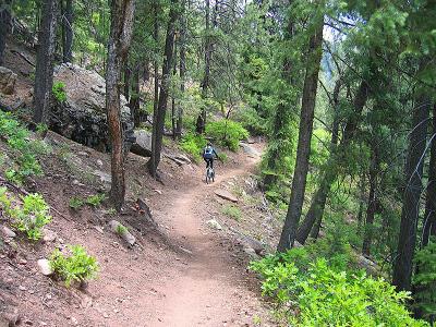 Junction Creek / Dry Fork Loop