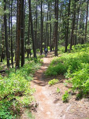 Junction Creek / Dry Fork Loop