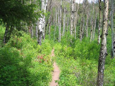 Junction Creek / Dry Fork Loop