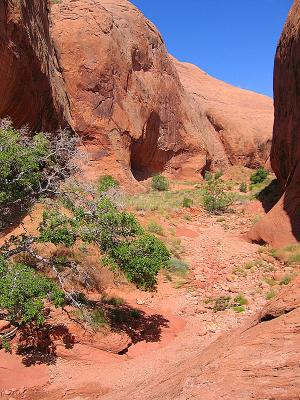 Davis Gulch - Grand Staircase Escalante