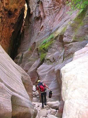 Echo Canyon - Zion National Park