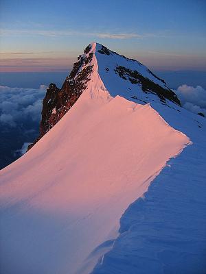 Mt. Shasta