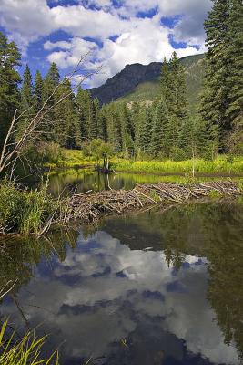 Weminuche Wilderness