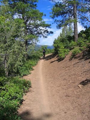 Hermosa Creek Trail