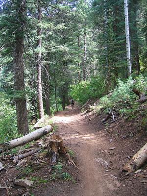 Hermosa Creek Trail