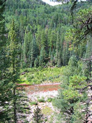 Hermosa Creek Trail