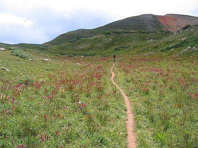 Molas Pass to Coal Banks Pass