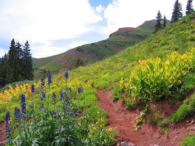 Molas Pass to Coal Banks Pass