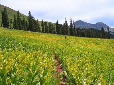 Molas Pass to Coal Banks Pass