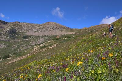 Weminuche Wilderness