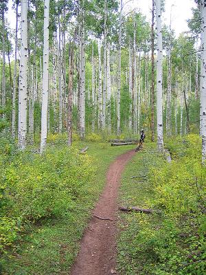 Jones Creek / Dutch Creek Ride