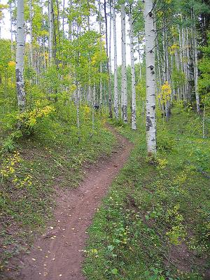 Jones Creek / Dutch Creek Ride