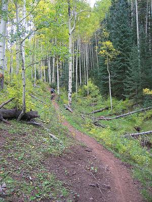 Jones Creek / Dutch Creek Ride