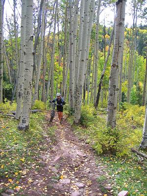 Jones Creek / Dutch Creek Ride