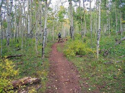Jones Creek / Dutch Creek Ride