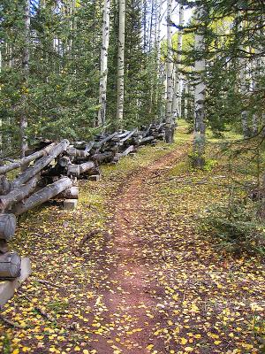 Jones Creek / Dutch Creek Ride