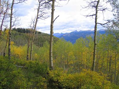Jones Creek / Dutch Creek Ride