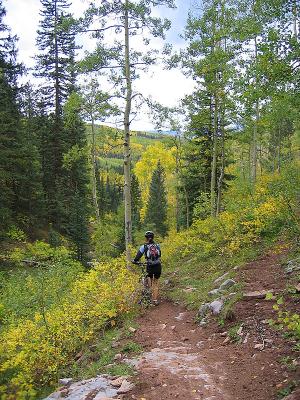 Jones Creek / Dutch Creek Ride
