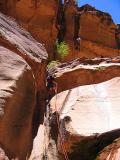 Pine Creek Slot - Zion National Park