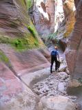 Echo Canyon - Zion National Park