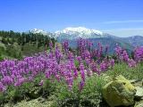 44098970.DSCN0214_1.jpg
