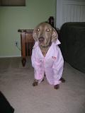 samson_0001_86.jpg