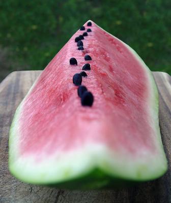 Water melon's aliens