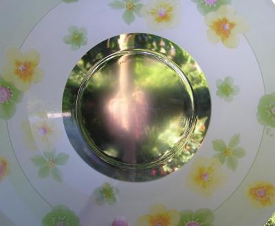 Garden View Through Bowl.jpg