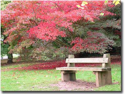 Westonbirt 092