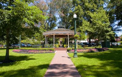 Gazebo 8517 PK WEBsize NIK EFEX.jpg