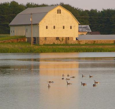 Evening Sun Lights up a Barn at the Impounding Dam Lake