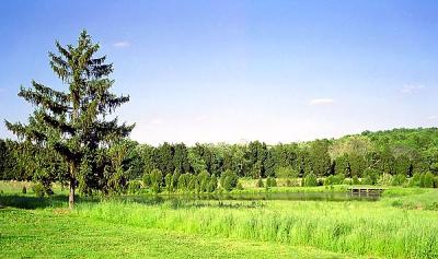 Field Outside of Gettysburg