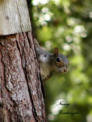 Hey..Take my picture!